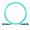 Image de 5m MTP-MTP Patch Cable Femelle 12 Fibres OM3 50/125 Multimode, Type A, Élite, Plénum (LSZH), Aqua