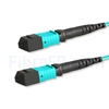 Image de 5m MTP-MTP Patch Cable Femelle 12 Fibres OM3 50/125 Multimode, Type A, Élite, Plénum (LSZH), Aqua
