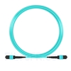 Image de 10m MTP-MTP Patch Cable Femelle 12 Fibres OM3 50/125 Multimode, Type A, Élite, Plénum (OFNP), Aqua