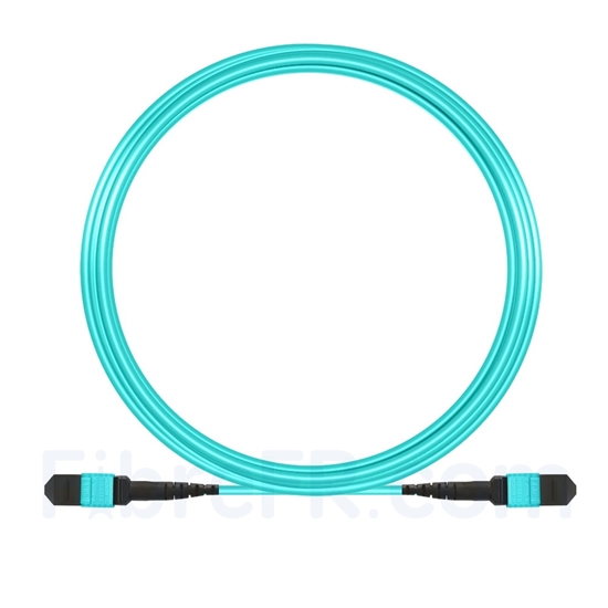 Image de 10m MTP-MTP Patch Cable Femelle 12 Fibres OM3 50/125 Multimode, Type A, Élite, Plénum (OFNP), Aqua