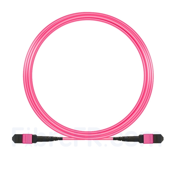 Image de 10m MTP-MTP Patch Cable Femelle 12 Fibres OM4 (OM3) 50/125 Multimode, Type B, Élite, Plénum (OFNP), Magenta