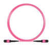 Image de 3m MTP-MTP Patch Cable Mâle 12 Fibres OM4 (OM3) 50/125 Multimode, Type B, Élite, Plénum (OFNP), Magenta