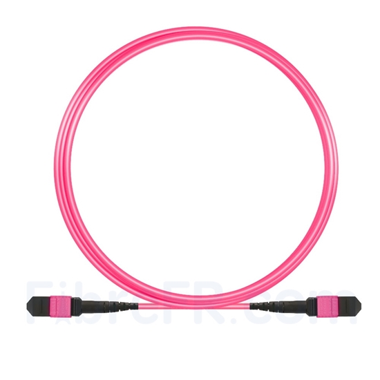 Image de 3m MTP-MTP Patch Cable Mâle 12 Fibres OM4 (OM3) 50/125 Multimode, Type B, Élite, Plénum (OFNP), Magenta