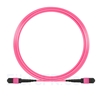 Image de 10m MTP-MTP Patch Cable Femelle 24 Fibres OM4 (OM3) 50/125 Multimode, 100GBASE-SR10 CXP/CFP/CPAK, Type A (TIA-568), Élite, Plénum (LSZH), Magenta