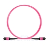 Image de 2m MTP-MTP Patch Cable Femelle 12 Fibres OM4 (OM3) 50/125 Multimode, Type B, Élite, Plénum (OFNP), Magenta