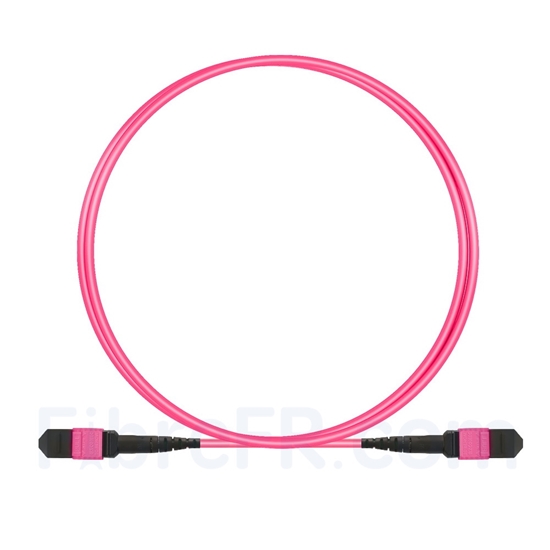 Image de 2m MTP-MTP Patch Cable Femelle 12 Fibres OM4 (OM3) 50/125 Multimode, Type B, Élite, Plénum (OFNP), Magenta