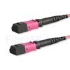 Image de 2m MTP-MTP Patch Cable Femelle 12 Fibres OM4 (OM3) 50/125 Multimode, Type B, Élite, Plénum (OFNP), Magenta