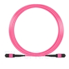 Image de 15m MTP-MTP Câble Femelle 12 Fibres OM4 (OM3) 50/125 Multimode, Type A, Élite, Plénum (LSZH), Magenta