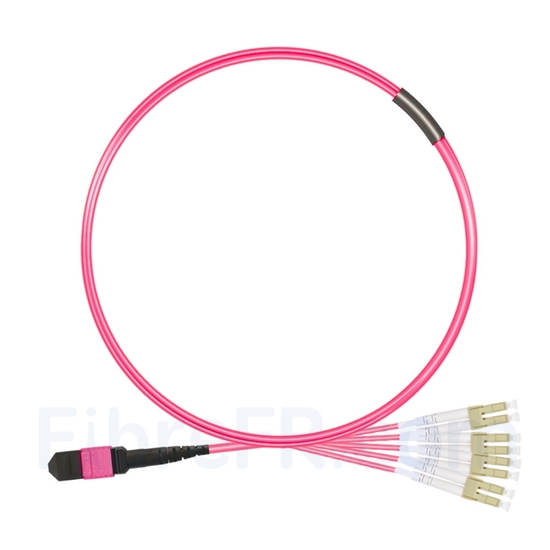 Image de 1m MTP Femelle vers 4 LC UPC Duplex 8 Fibres OM4 (OM3) 50/125 Câble Breakout Multimode, Type B, Élite, LSZH, Magenta