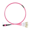 Image de 2m MTP Femelle vers 4 LC UPC Duplex 8 Fibres OM4 (OM3) 50/125 Câble Breakout Multimode, Type B, Élite, LSZH, Magenta
