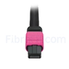 Image de 2m MTP Femelle vers 4 LC UPC Duplex 8 Fibres OM4 (OM3) 50/125 Câble Breakout Multimode, Type B, Élite, LSZH, Magenta