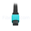 Image de 1m MTP Femelle vers 6 LC UPC Duplex 12 Fibres OM3 50/125 Câble Breakout Multimode, Type A, Élite, LSZH, Aqua