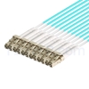 Image de 1m MTP Femelle vers 6 LC UPC Duplex 12 Fibres OM3 50/125 Câble Breakout Multimode, Type A, Élite, LSZH, Aqua