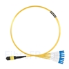 Image de 1m MTP Femelle vers 4 LC UPC Duplex 8 Fibres OS2 9/125 Câble Breakout Monomode, Type B, Élite, Plénum (OFNP), Jaune