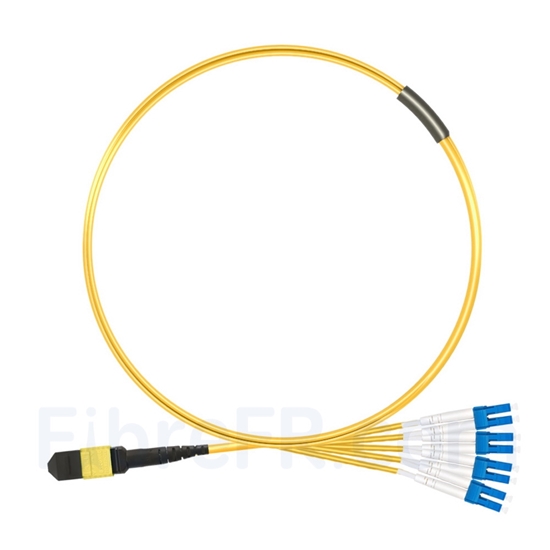 Image de 1m MTP Femelle vers 4 LC UPC Duplex 8 Fibres OS2 9/125 Câble Breakout Monomode, Type B, Élite, Plénum (OFNP), Jaune