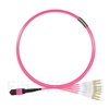 Image de 3m MTP Femelle vers 4 LC UPC Duplex 8 Fibres OM4 (OM3) 50/125 Câble Breakout Multimode, Type B, Élite, Plénum (OFNP), Magenta