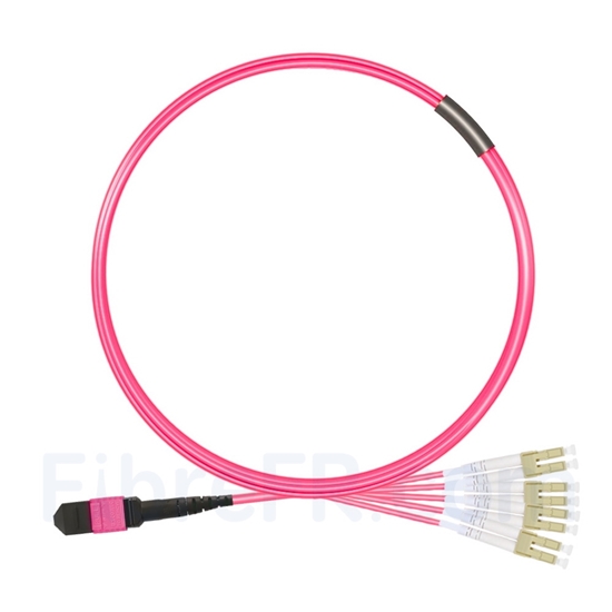 Image de 3m MTP Femelle vers 4 LC UPC Duplex 8 Fibres OM4 (OM3) 50/125 Câble Breakout Multimode, Type B, Élite, Plénum (OFNP), Magenta