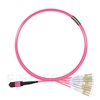Image de 3m MTP Mâle vers 6 LC UPC Duplex 12 Fibres OM4 (OM3) 50/125 Câble Breakout Multimode, Type A, Élite, Plénum (OFNP), Magenta