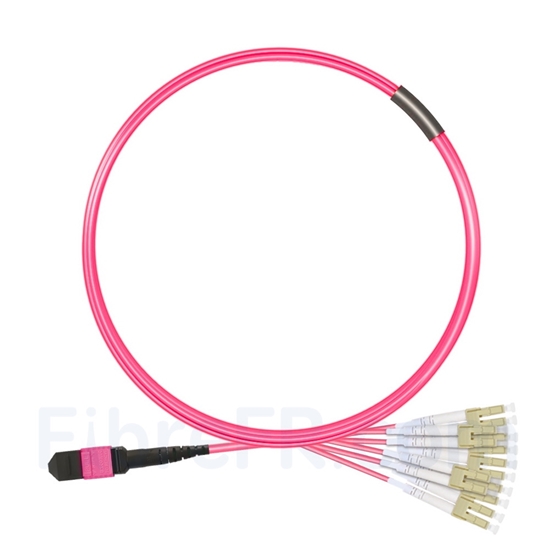 Image de 3m MTP Mâle vers 6 LC UPC Duplex 12 Fibres OM4 (OM3) 50/125 Câble Breakout Multimode, Type A, Élite, Plénum (OFNP), Magenta