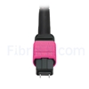Image de 3m MTP Mâle vers 6 LC UPC Duplex 12 Fibres OM4 (OM3) 50/125 Câble Breakout Multimode, Type A, Élite, Plénum (OFNP), Magenta