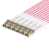 Image de 3m MTP Mâle vers 6 LC UPC Duplex 12 Fibres OM4 (OM3) 50/125 Câble Breakout Multimode, Type A, Élite, Plénum (OFNP), Magenta