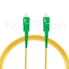 Image de 10M（33ft）1550nm SC APC Simplex Axe Lent PVC-3.0mm Monomode (OFNR) 3,0 mm Polarisation Maintenant le Câble de Raccordement à Fibre Optique