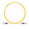 Image de 3M（10ft）1550nm FC UPC Simplex Axe Lent PVC-3.0mm Monomode (OFNR) 3,0 mm Polarisation Maintenant le Câble de Raccordement à Fibre Optique