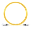 Image de 10M（33ft）1550nm FC UPC Simplex Axe Lent PVC-3.0mm Monomode (OFNR) 3,0 mm Polarisation Maintenant le Câble de Raccordement à Fibre Optique