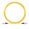 Image de 15M（49ft）1550nm FC UPC Simplex Axe Lent PVC-3.0mm Monomode (OFNR) 3,0 mm Polarisation Maintenant le Câble de Raccordement à Fibre Optique