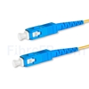 Image de 1M（3ft）1550nm SC UPC Simplex Axe Lent PVC-3.0mm Monomode (OFNR) 3,0 mm Polarisation Maintenant le Câble de Raccordement à Fibre Optique