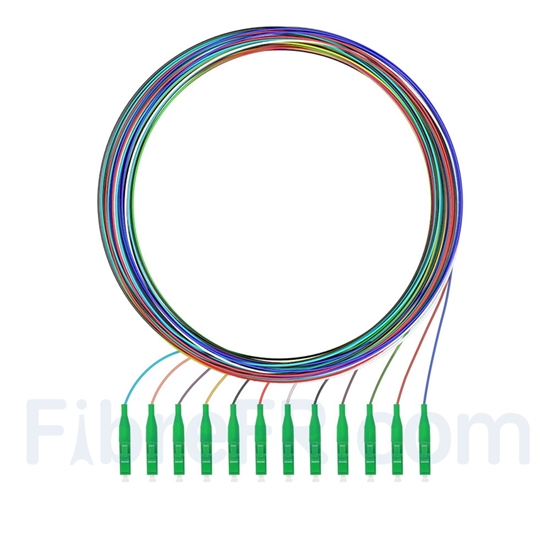 Image de 2m Pigtail à Fibre Optique à Code Couleur LC APC 12 Fibres OS2 Monomode, Sans Gaine