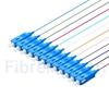 Image de 1m Pigtail à Fibre Optique à Code Couleur SC UPC 12 Fibres OS2 Monomode, Sans Gaine