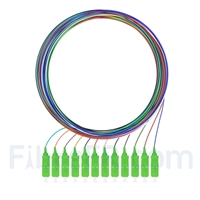 2m Pigtail à Fibre Optique à Code Couleur SC APC 12 Fibres OS2 Monomode, Sans Gaine