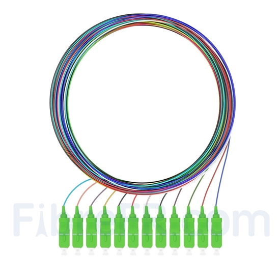 Image de 2m Pigtail à Fibre Optique à Code Couleur SC APC 12 Fibres OS2 Monomode, Sans Gaine