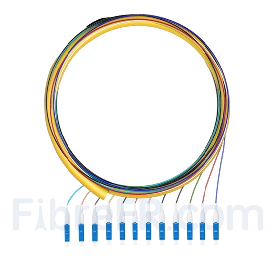 Image de 1,5m Pigtail à Fibre Optique LC UPC 12 Fibres OS2 Monomode Faisceau PVC (OFNR) 0,9mm