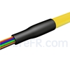 Image de 1,5m Pigtail à Fibre Optique LC APC 12 Fibres OS2 Monomode Faisceau PVC (OFNR) 0,9mm