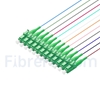 Image de 1,5m Pigtail à Fibre Optique LC APC 12 Fibres OS2 Monomode Faisceau PVC (OFNR) 0,9mm