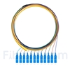 Image de 1,5m Pigtail à Fibre Optique SC UPC 12 Fibres OS2 Monomode Faisceau PVC (OFNR) 0,9mm