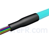 Image de 1,5m Pigtail à Fibre Optique LC UPC 12 Fibres OM3 Multimode Faisceau PVC (OFNR) 0,9mm
